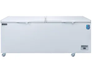 Dukers - BD/BG-520, 59" Chest Freezer With Solid Door