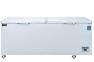 Dukers - BD/BG-620, 71" Chest Freezer With Solid Door