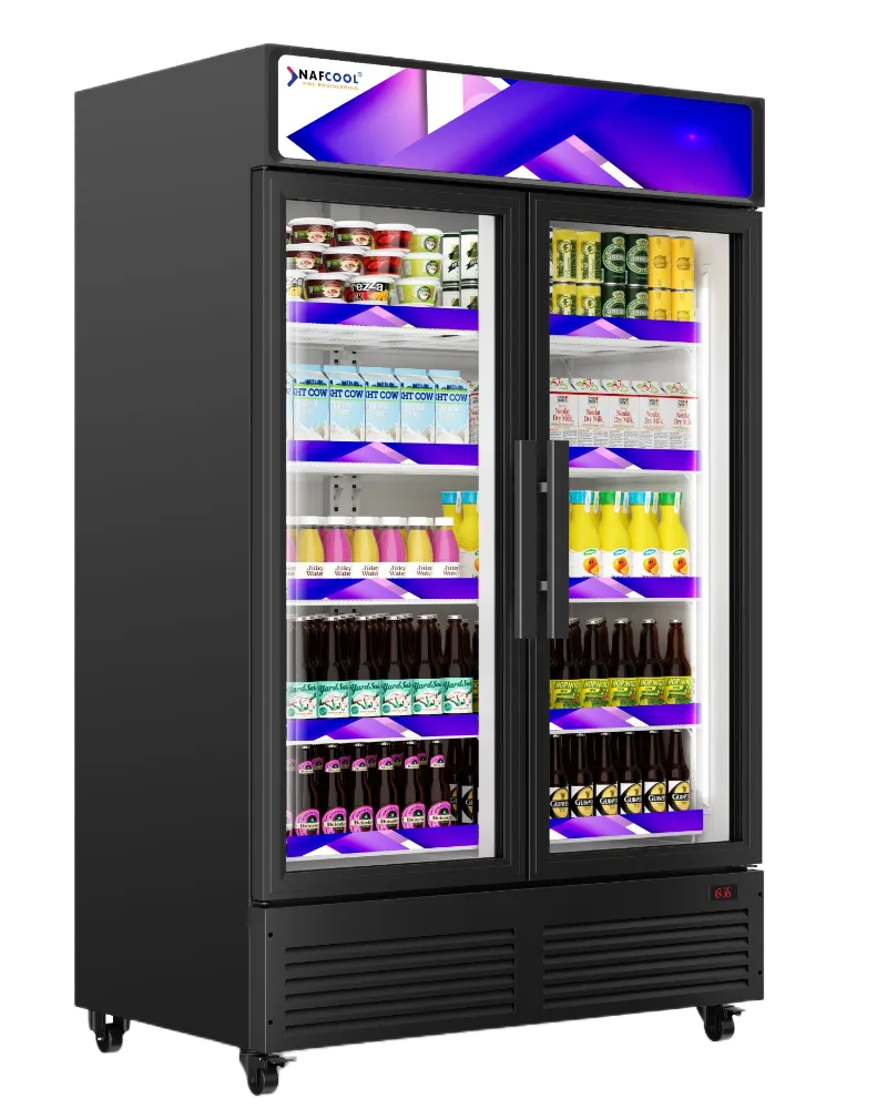 GDR51(H) TWO SECTION Glass Door Merchandiser Refrigerator