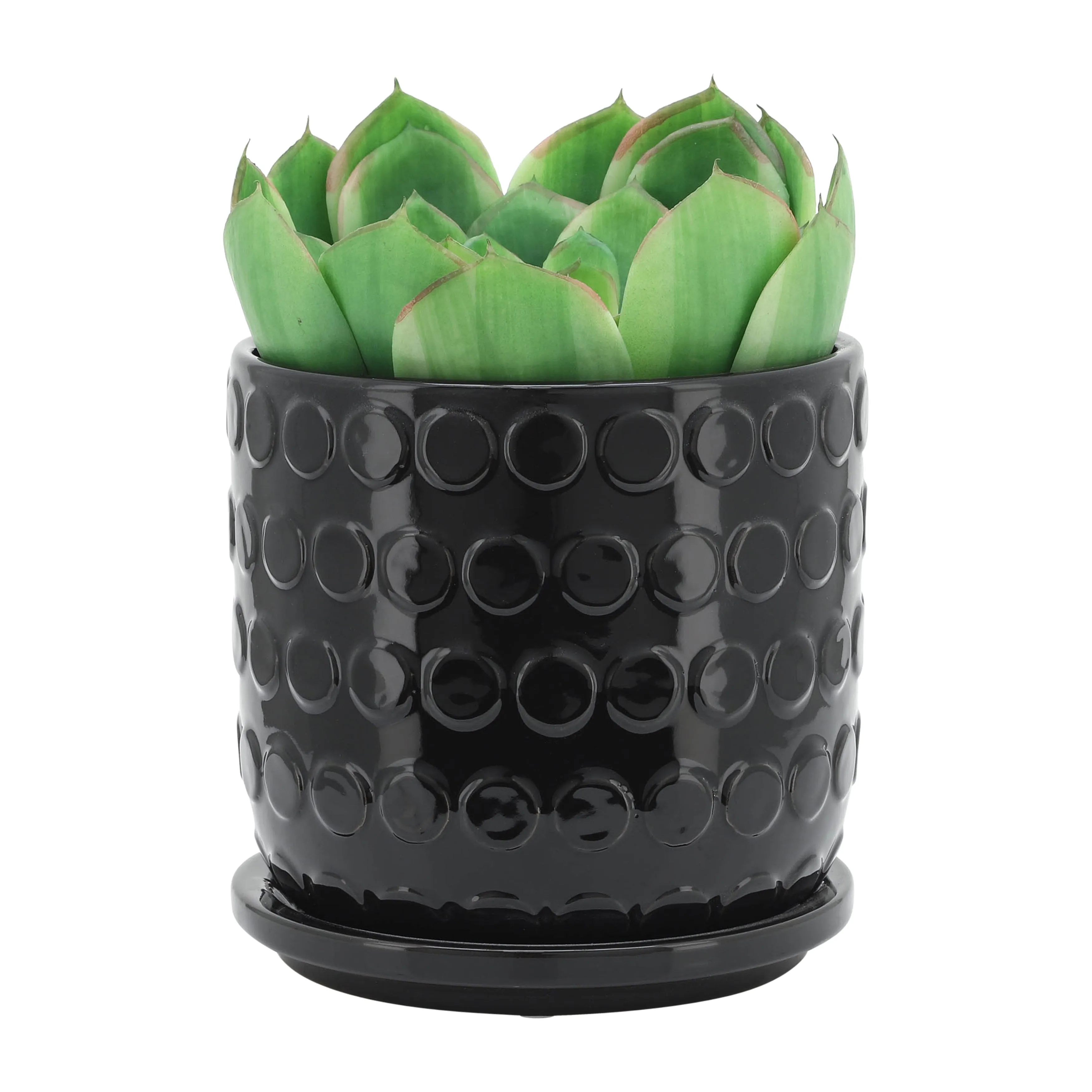 S/2 5/6" BUBBLE PLANTER W. SAUCER, BLACK