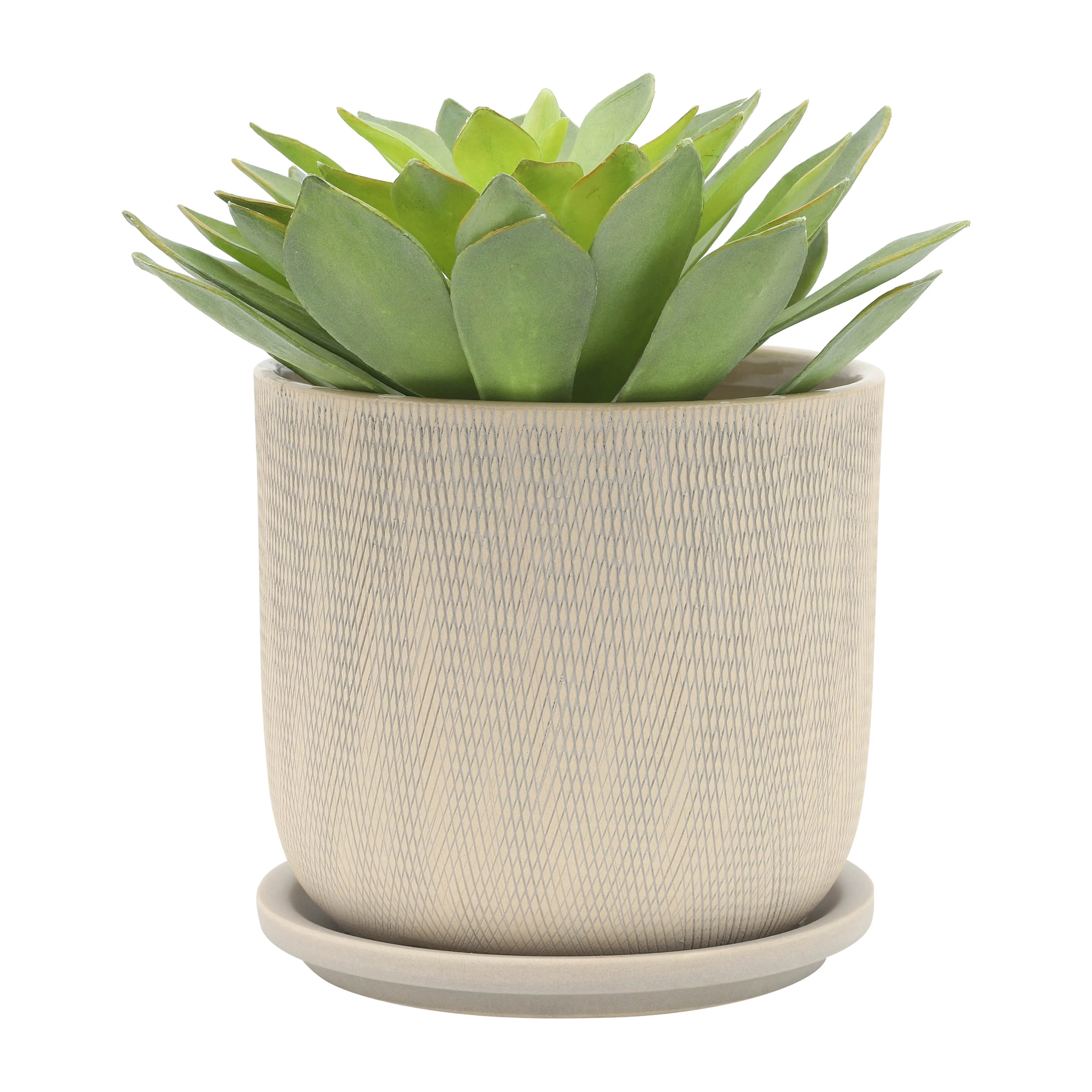 S/2 5/6" MESH PLANTER W/ SAUCER, SAGE