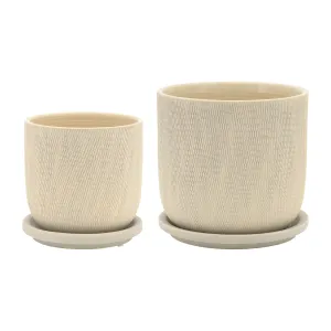 S/2 5/6" MESH PLANTER W/ SAUCER, SAGE