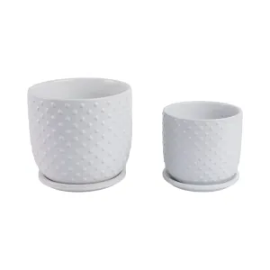 S/2 6/8" Tiny Dots Planter W/ Saucer, White