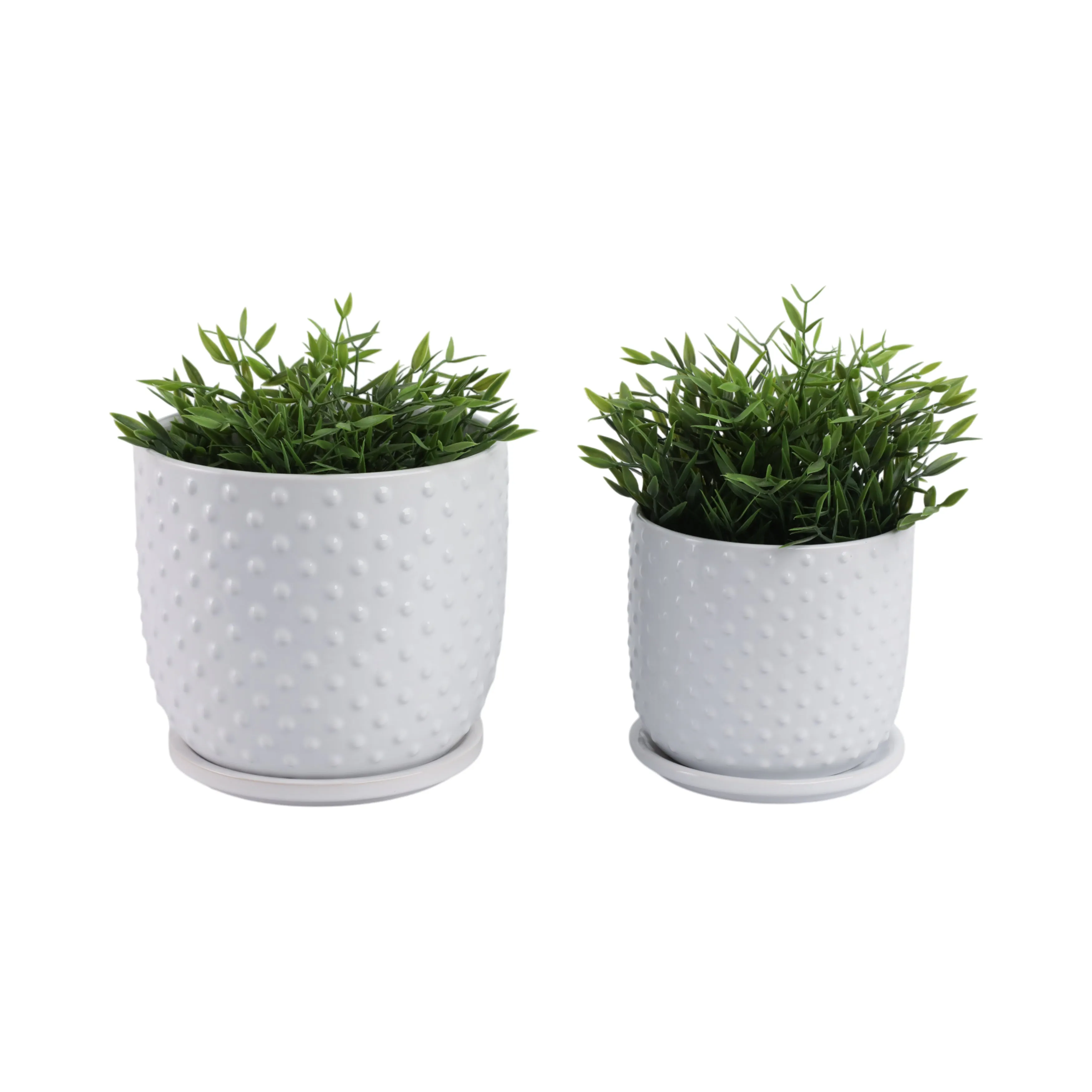 S/2 6/8" Tiny Dots Planter W/ Saucer, White