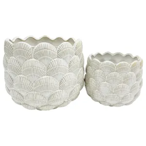 S/2 7/9" Seashell Planters, White